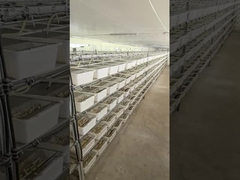 Shipping Method Frozen Shipping Rodent Euthanasia Guidelines for Feeding Reptiles and Birds of Prey