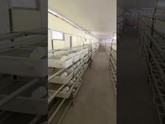 1.5g Frozen Thawed Pinkies Frozen Weaned Mice High Protein