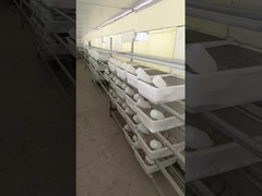 Reptile Frozen Pinky Rat Rodent Mice Feeder Cryogenic Storage OEM