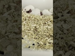 Thawed Frozen Live Feeder Rodents Mouse Pinkies Pets Food In Bulk