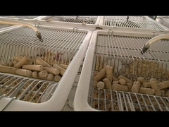 White Adult Frozen Rodent Feeders Pinkie Mice 50 Per Pack For Bearded Dragon